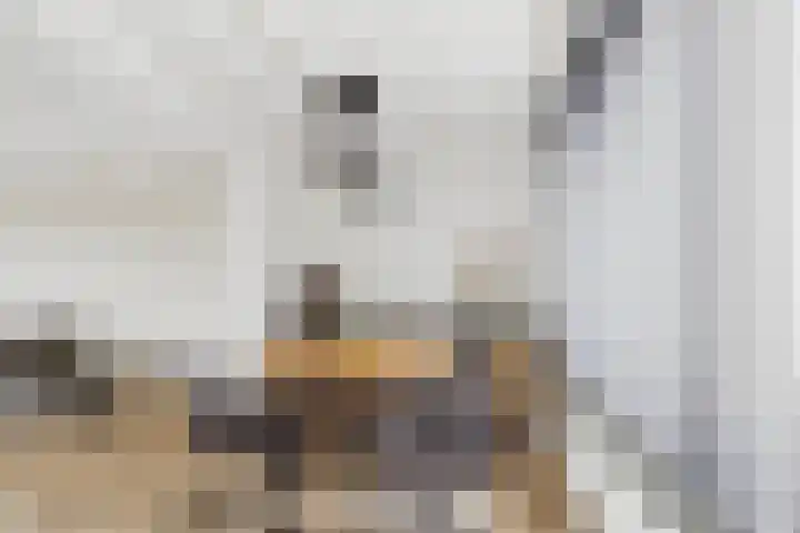 Kanaalkade 42 Axel thumbnail 15