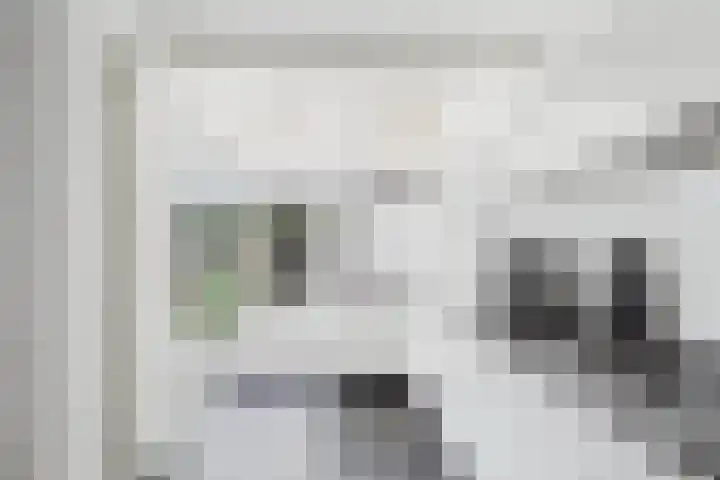 Kanaalkade 42 Axel thumbnail 19