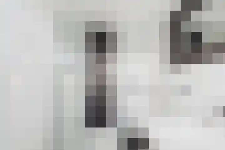 Kanaalkade 42 Axel thumbnail 37