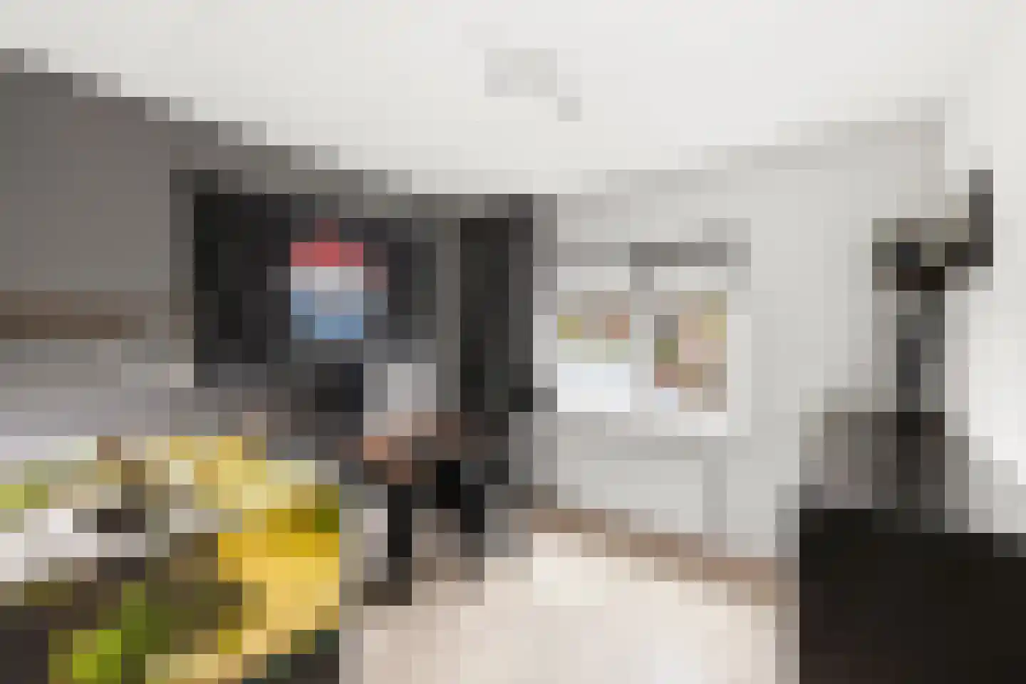 Kanaalkade 50 Axel thumbnail 17