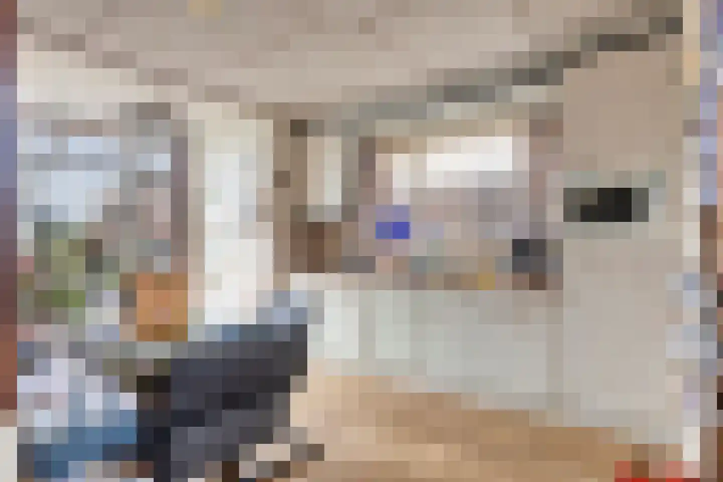 Kanaalkade 53 't Zand thumbnail 15