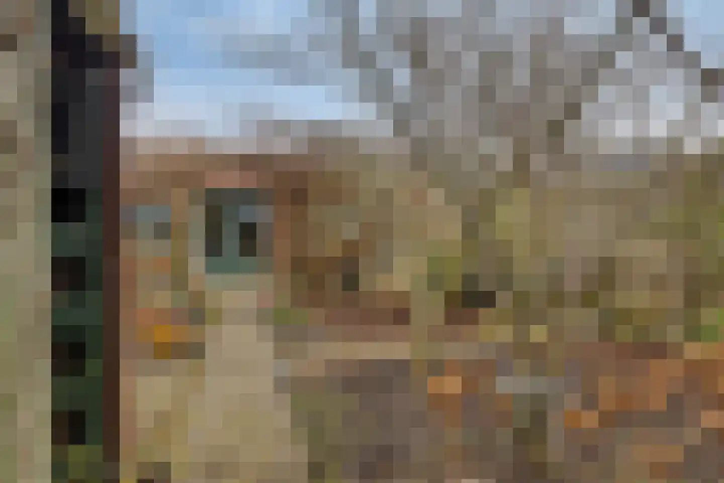 Kanaalkade 53 't Zand thumbnail 24