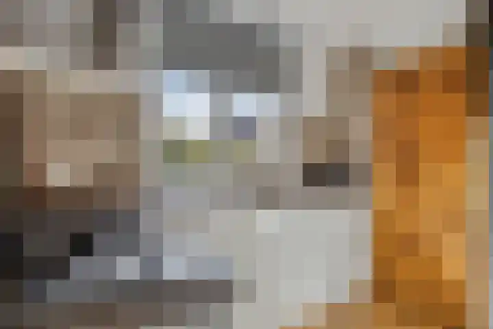 Kanaalkade 58 Alkmaar thumbnail 14