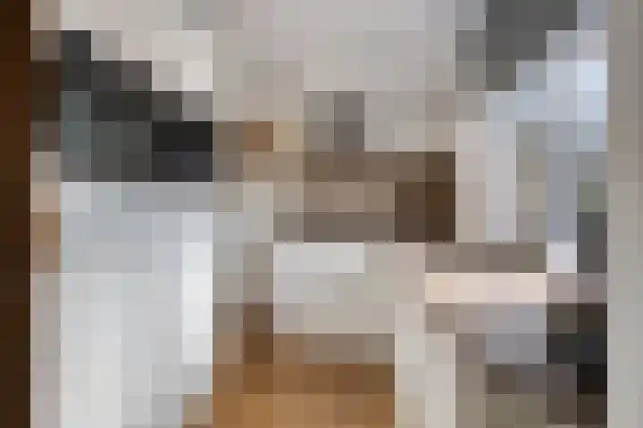 Kanaalkade 58 Alkmaar thumbnail 15