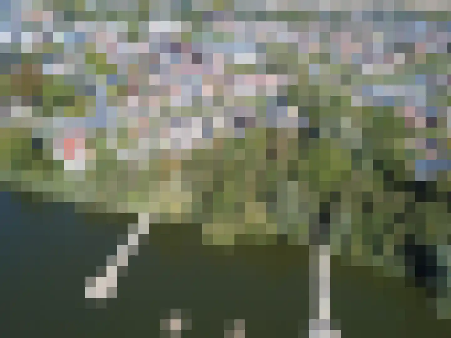 Kanaalkade 6 Axel thumbnail 19