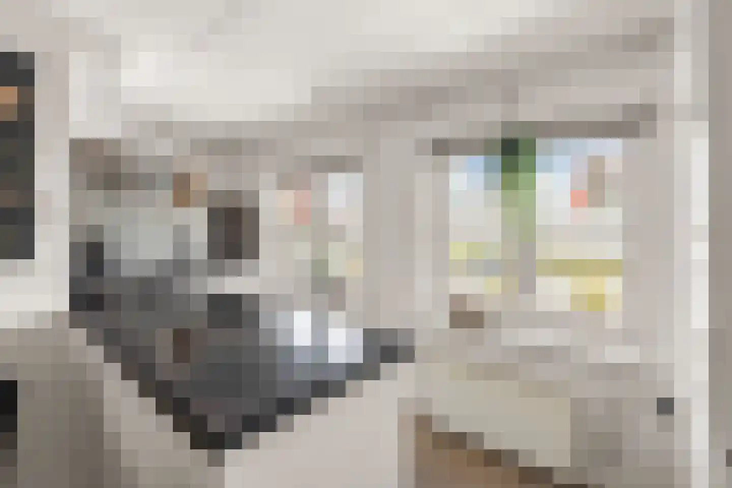 Kanaalkade 61 A Alkmaar thumbnail 13
