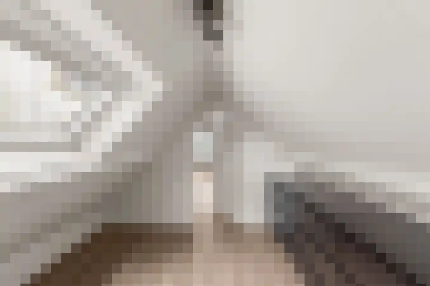 Kanaalkade 61 A Alkmaar thumbnail 23