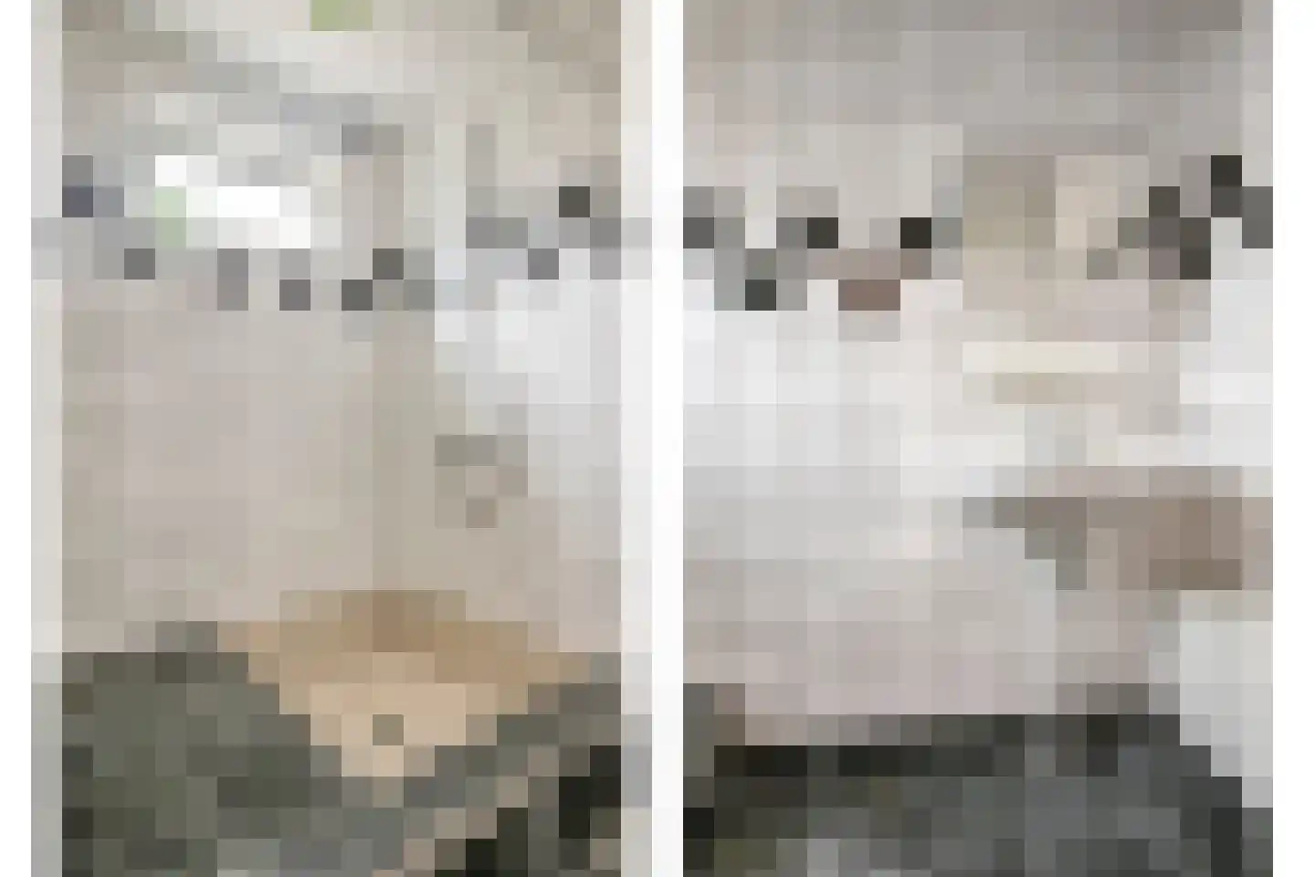 Kanaalkade 69 Axel thumbnail 14