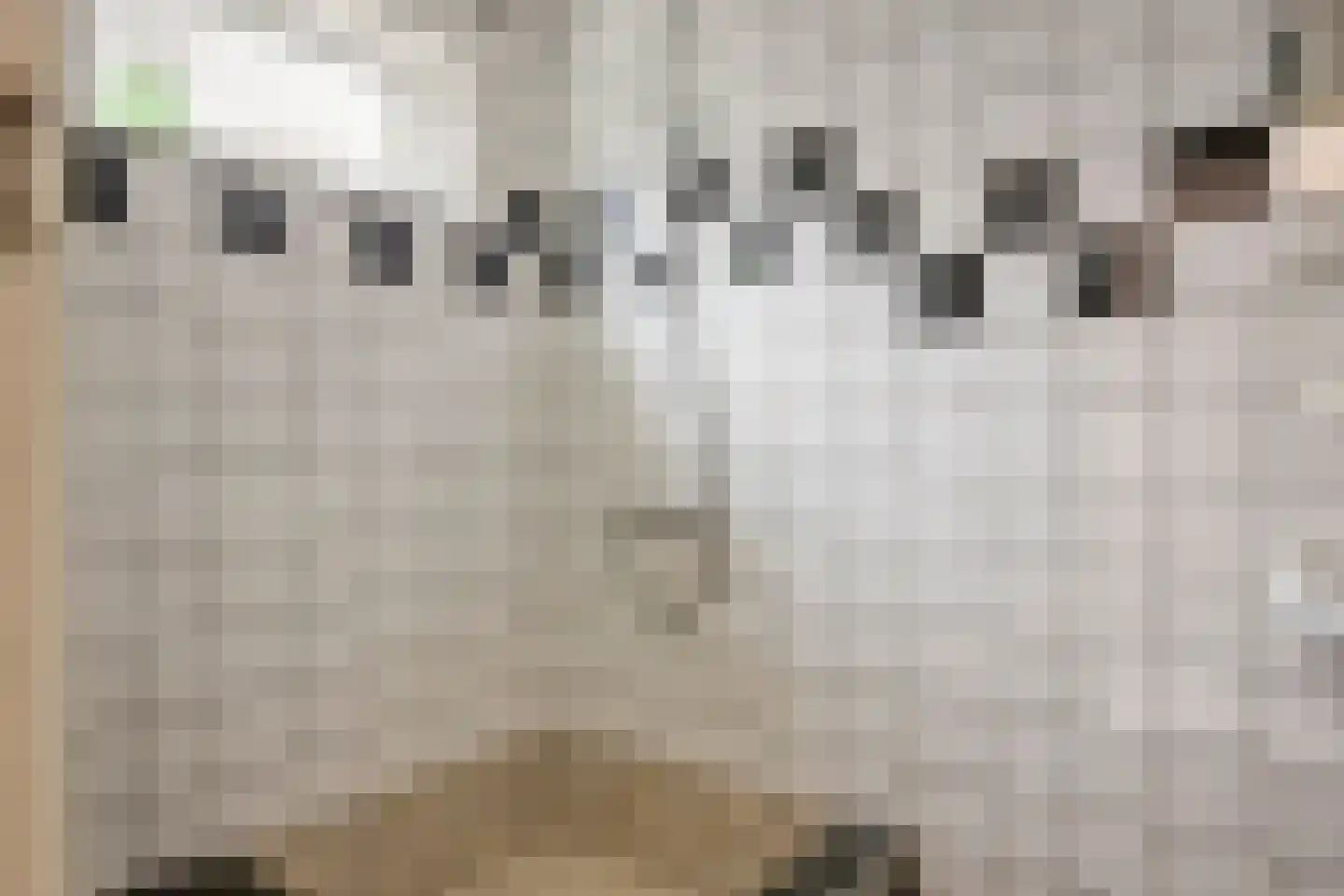 Kanaalkade 69 Axel thumbnail 15