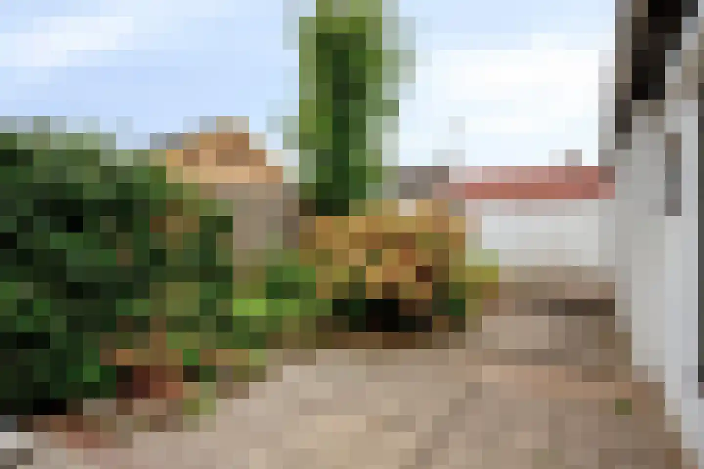 Kanaalkade 69 Axel thumbnail 5