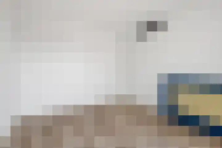 Kanaalkade 71 Alkmaar thumbnail 26