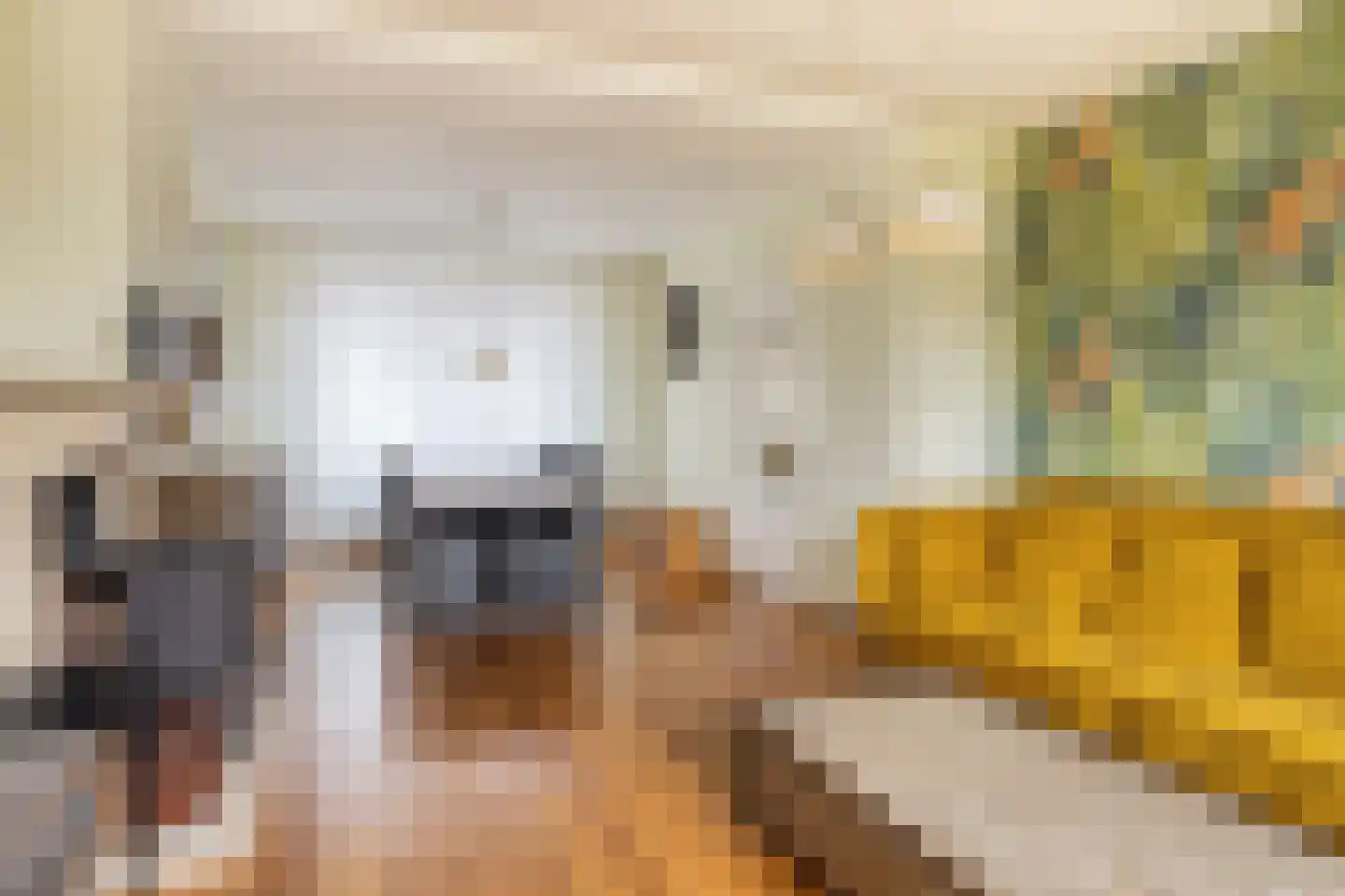 Kanaalkade 73 Axel thumbnail 9