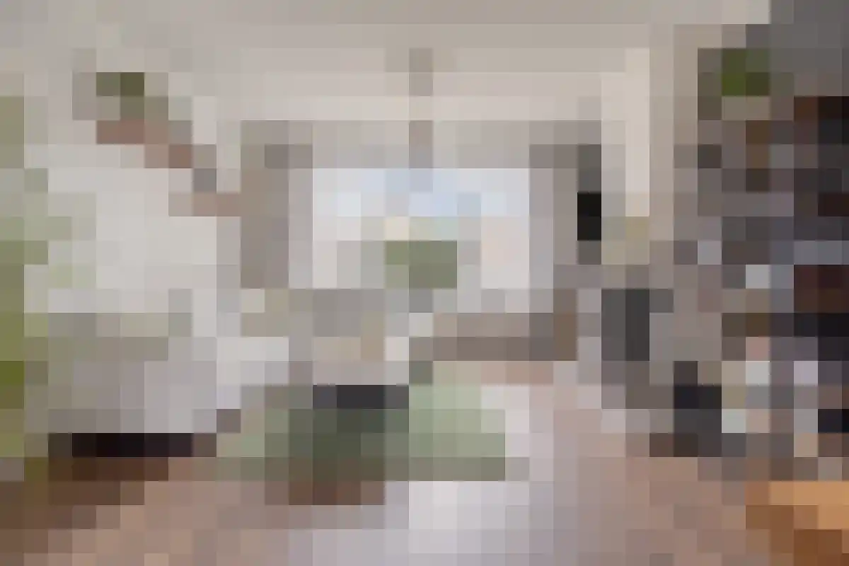 Kanaalkade 75 Axel thumbnail 10