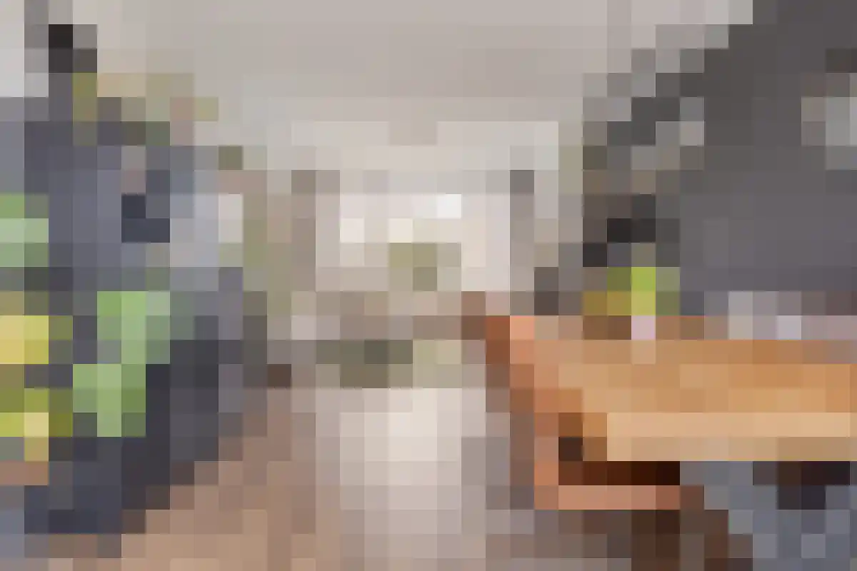 Kanaalkade 75 Axel thumbnail 12
