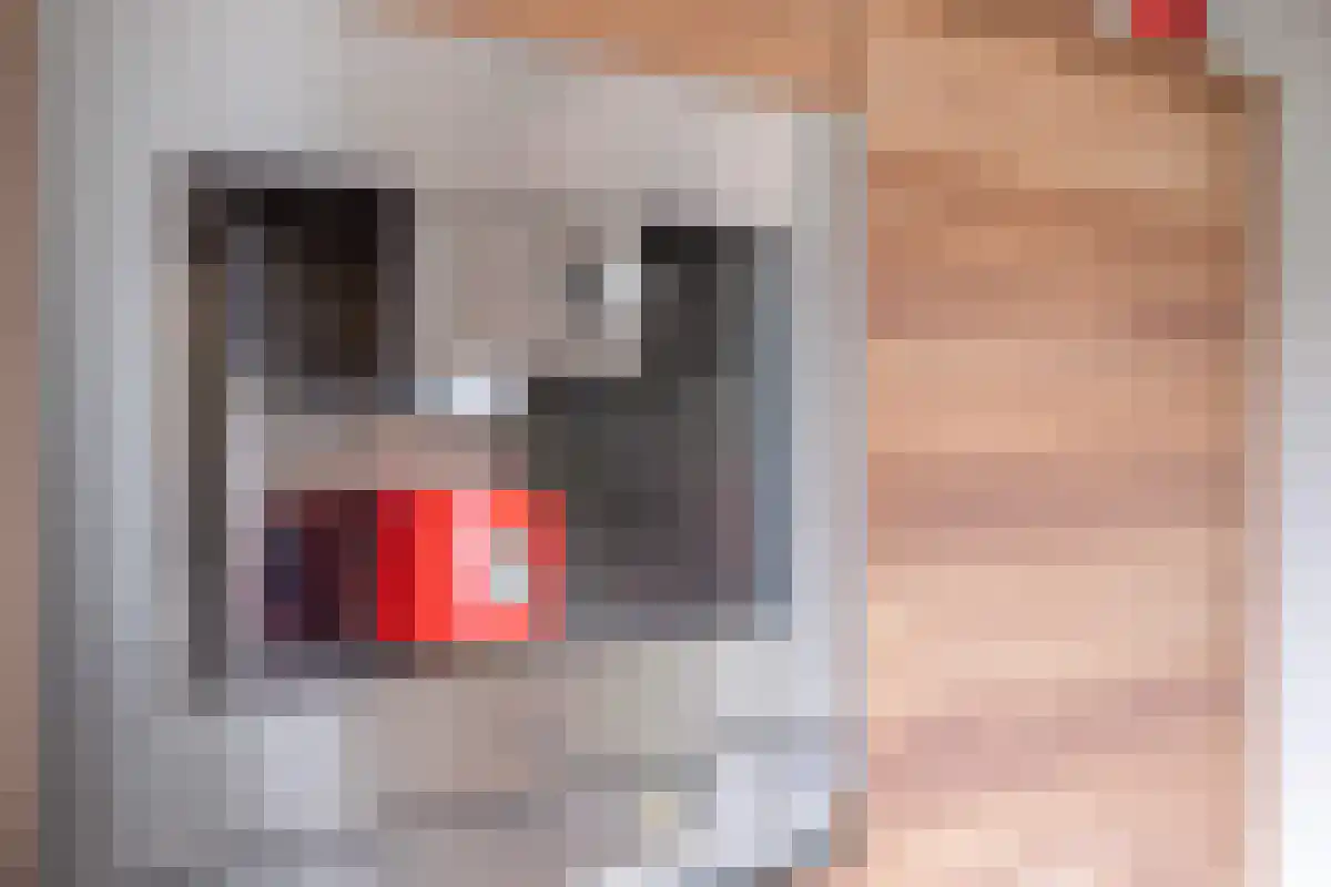 Kanaalkade 75 Axel thumbnail 21