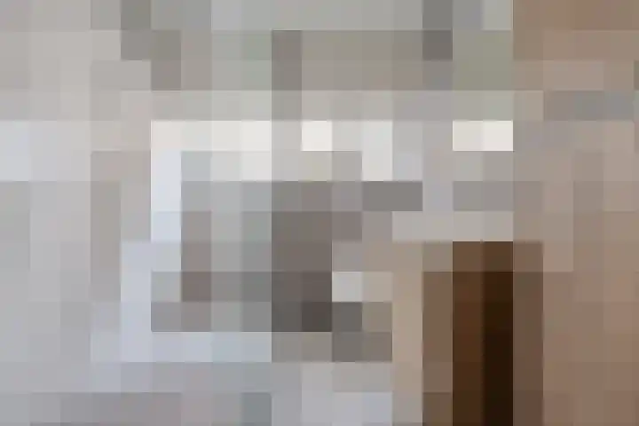 Kanaalkade 75 Axel thumbnail 26