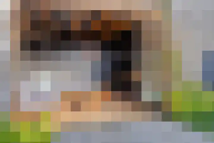 Kanaalkade 75 Axel thumbnail 39