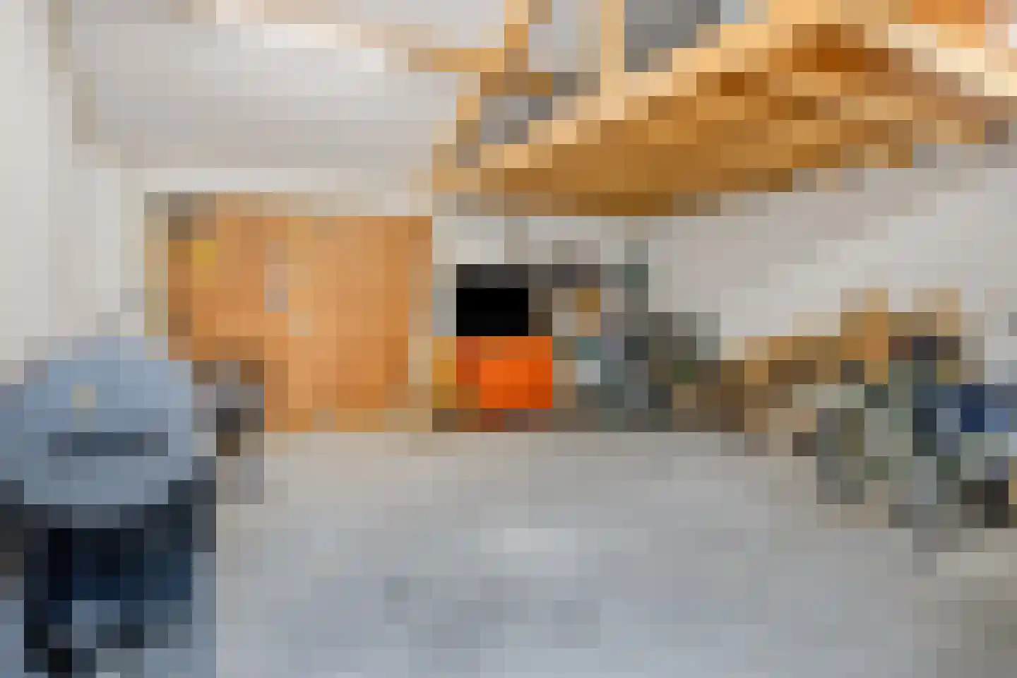 Kanaalkade 75 Axel thumbnail 43