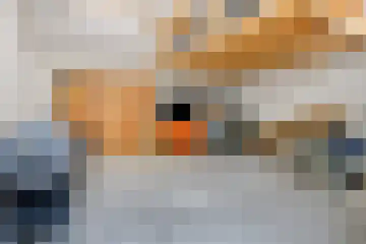 Kanaalkade 75 Axel thumbnail 43