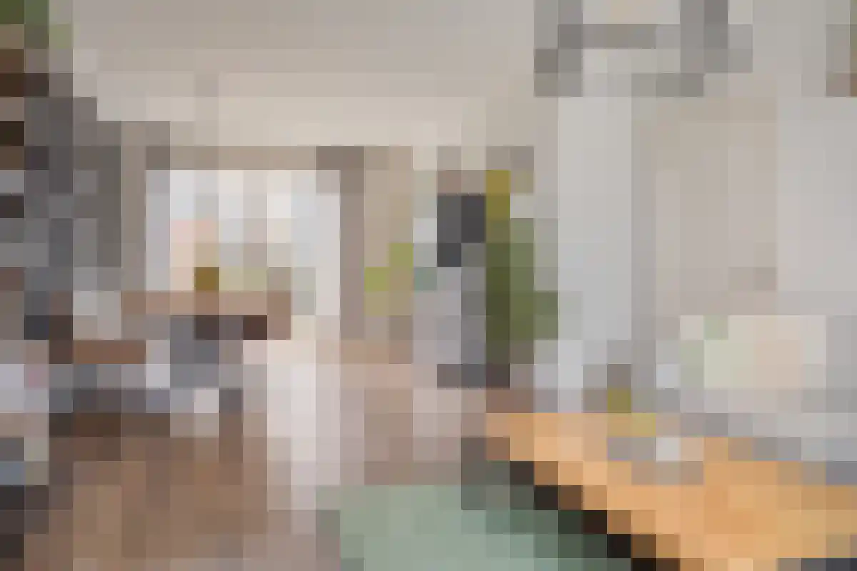 Kanaalkade 75 Axel thumbnail 9