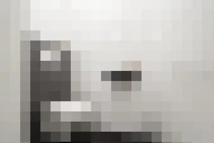 Kanaalkade 82 Alkmaar thumbnail 11
