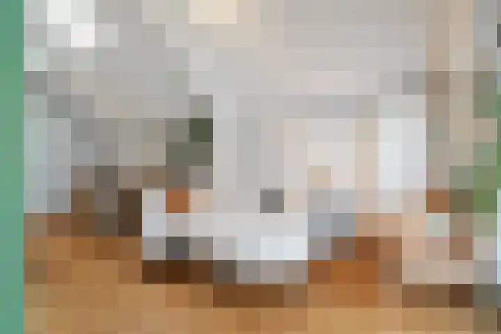 Kanaalkade 82 Alkmaar thumbnail 20