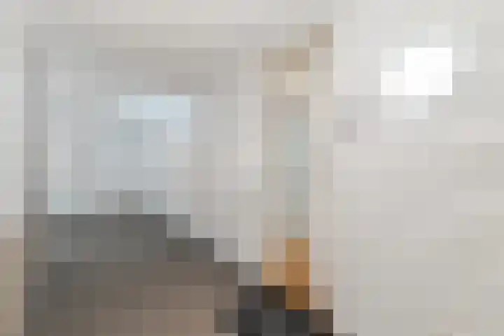 Kanaalkade 82 Alkmaar thumbnail 8