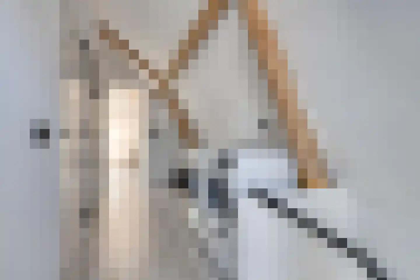 Kanaalkade 9 Purmerend thumbnail 21