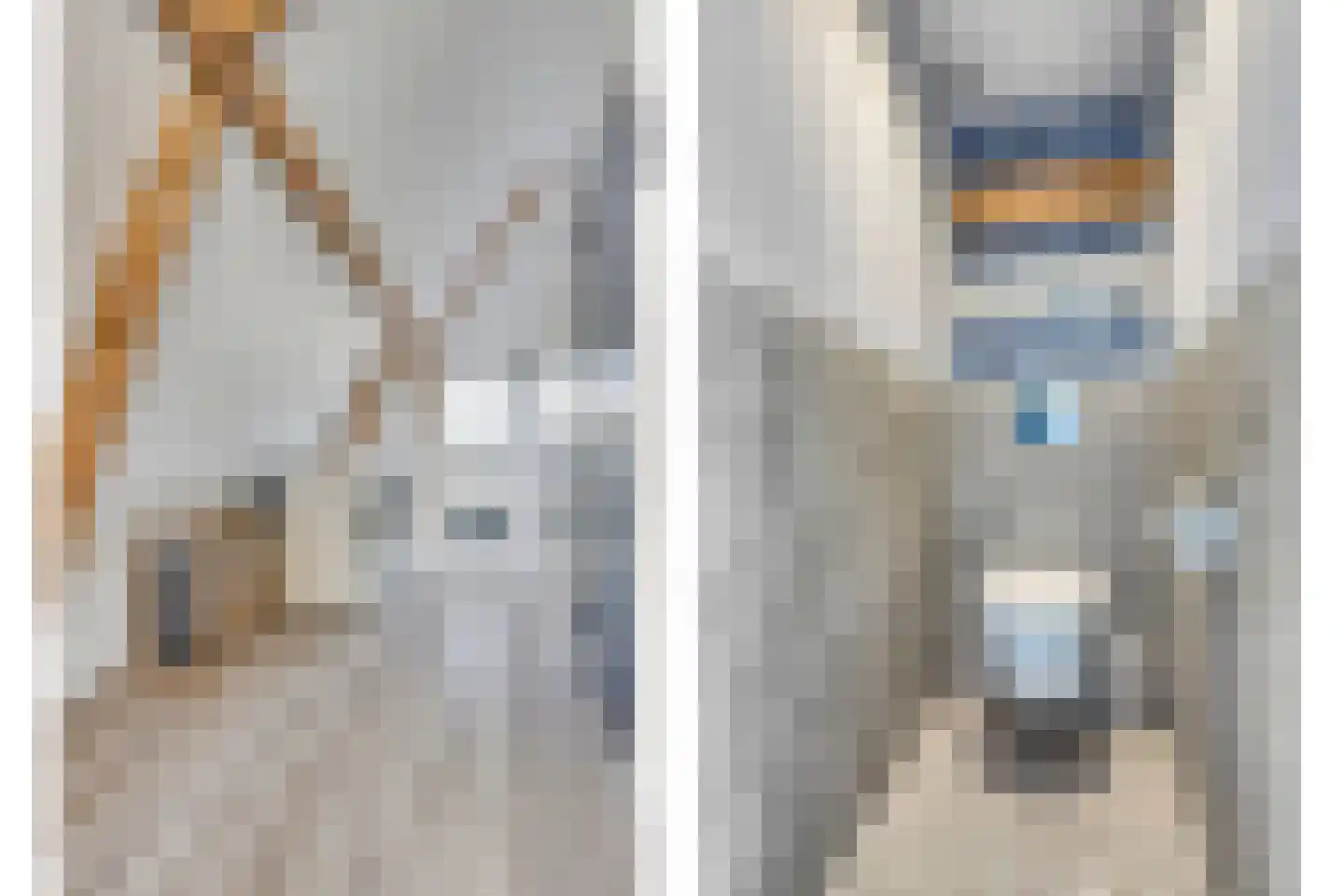 Kanaalkade 9 Purmerend thumbnail 22