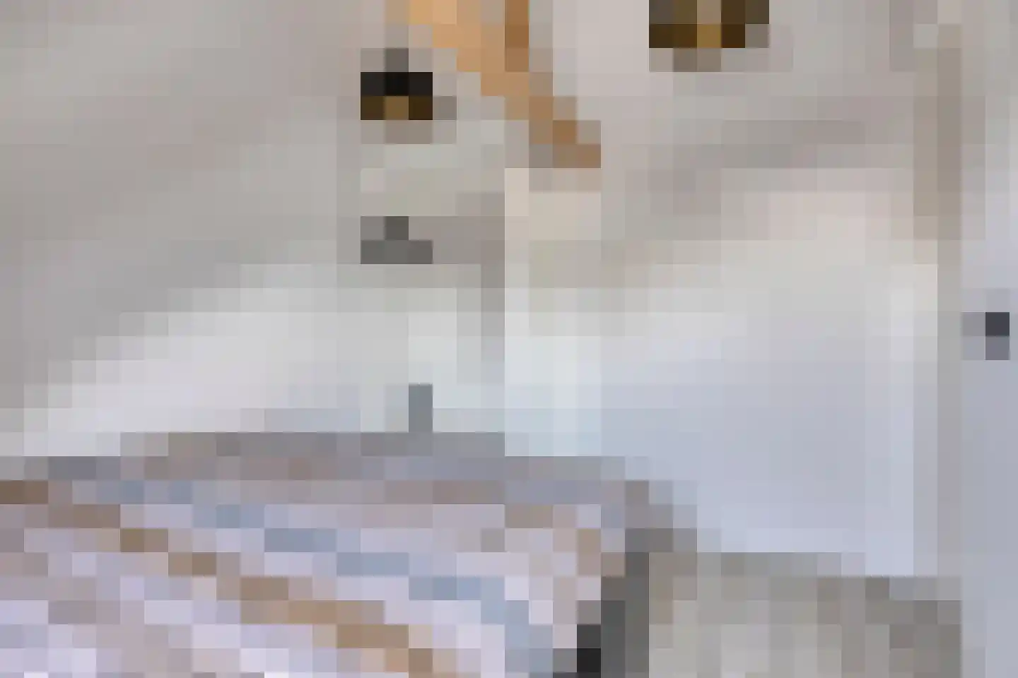 Kanaalkade 9 Purmerend thumbnail 29