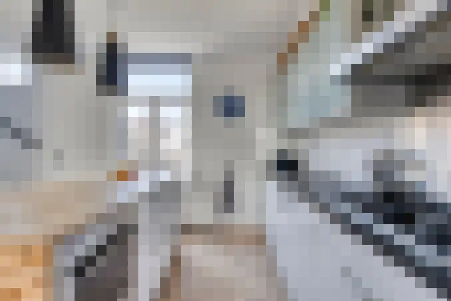 Kanaalkade 9 Purmerend thumbnail 4