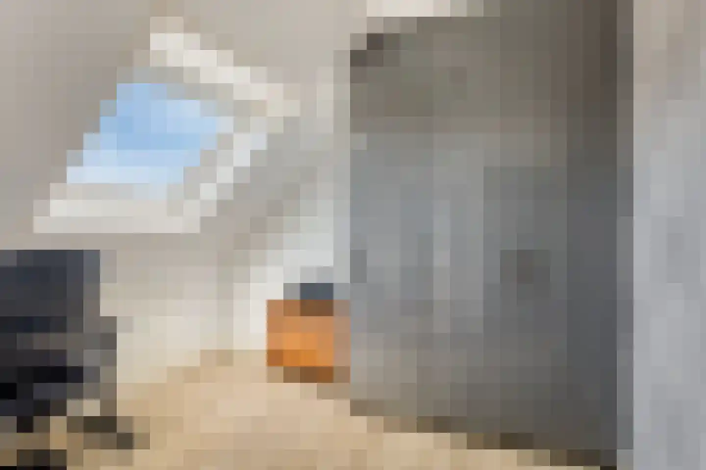 Kanaalmuur 25 Houten thumbnail 23