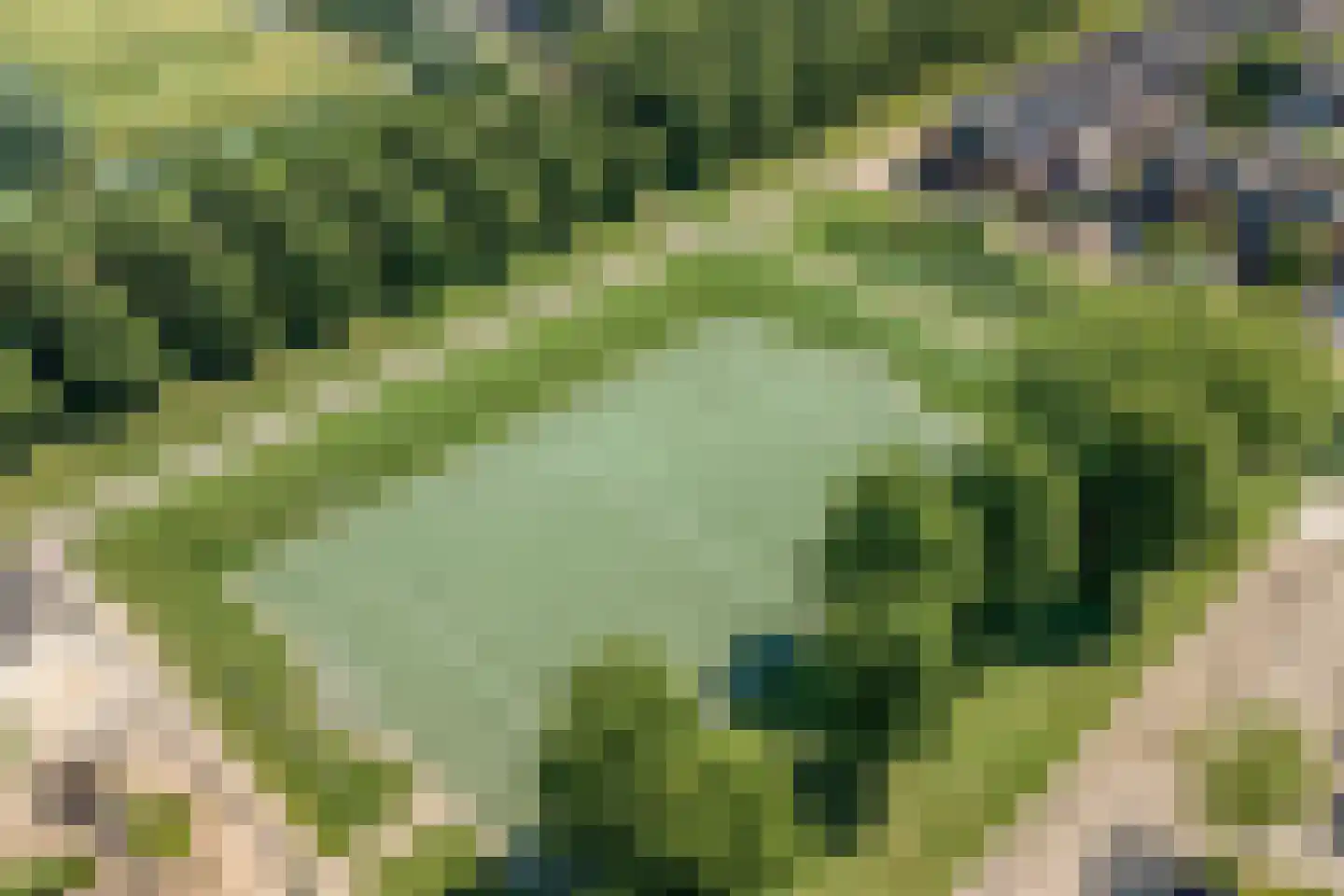 Kanaalmuur 25 Houten thumbnail 39