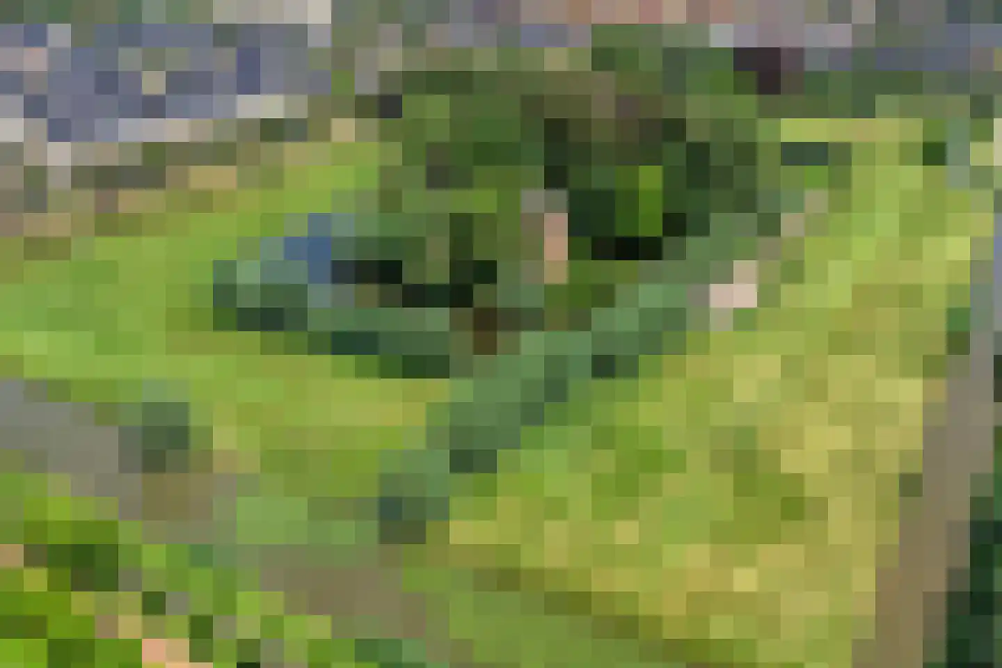 Kanaalmuur 25 Houten thumbnail 40