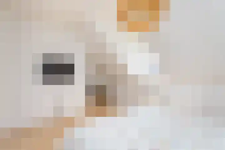 Kanaalmuur 26 Houten thumbnail 29