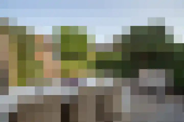 Kanaalmuur 26 Houten thumbnail 34