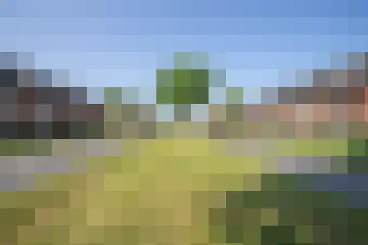 Kanaalmuur 26 Houten thumbnail 40