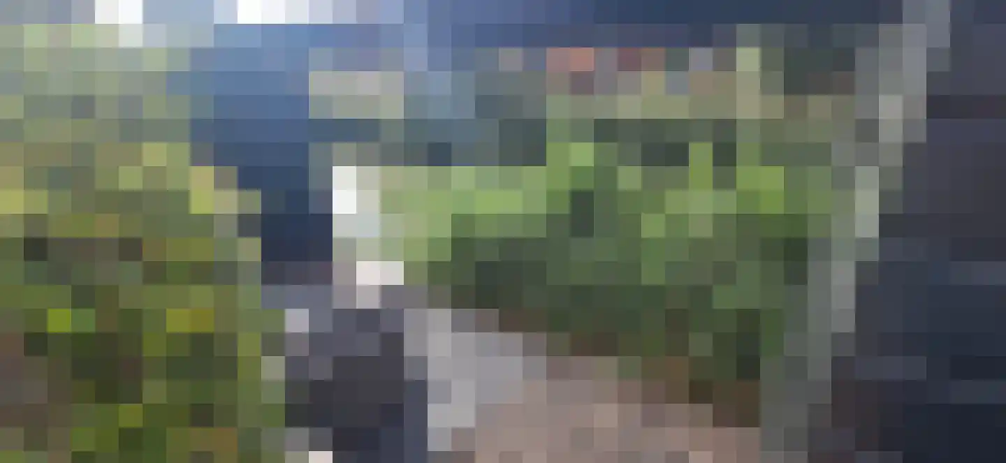 Kanaalmuur 3 Houten thumbnail 17