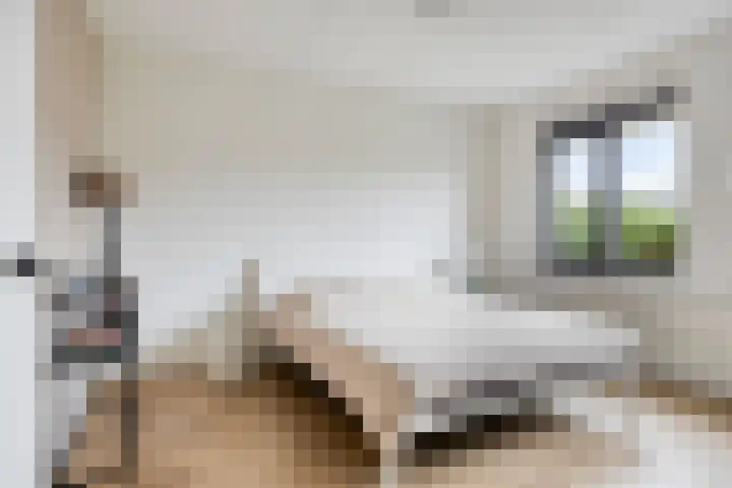 Kanaalmuur 3 Houten thumbnail 20