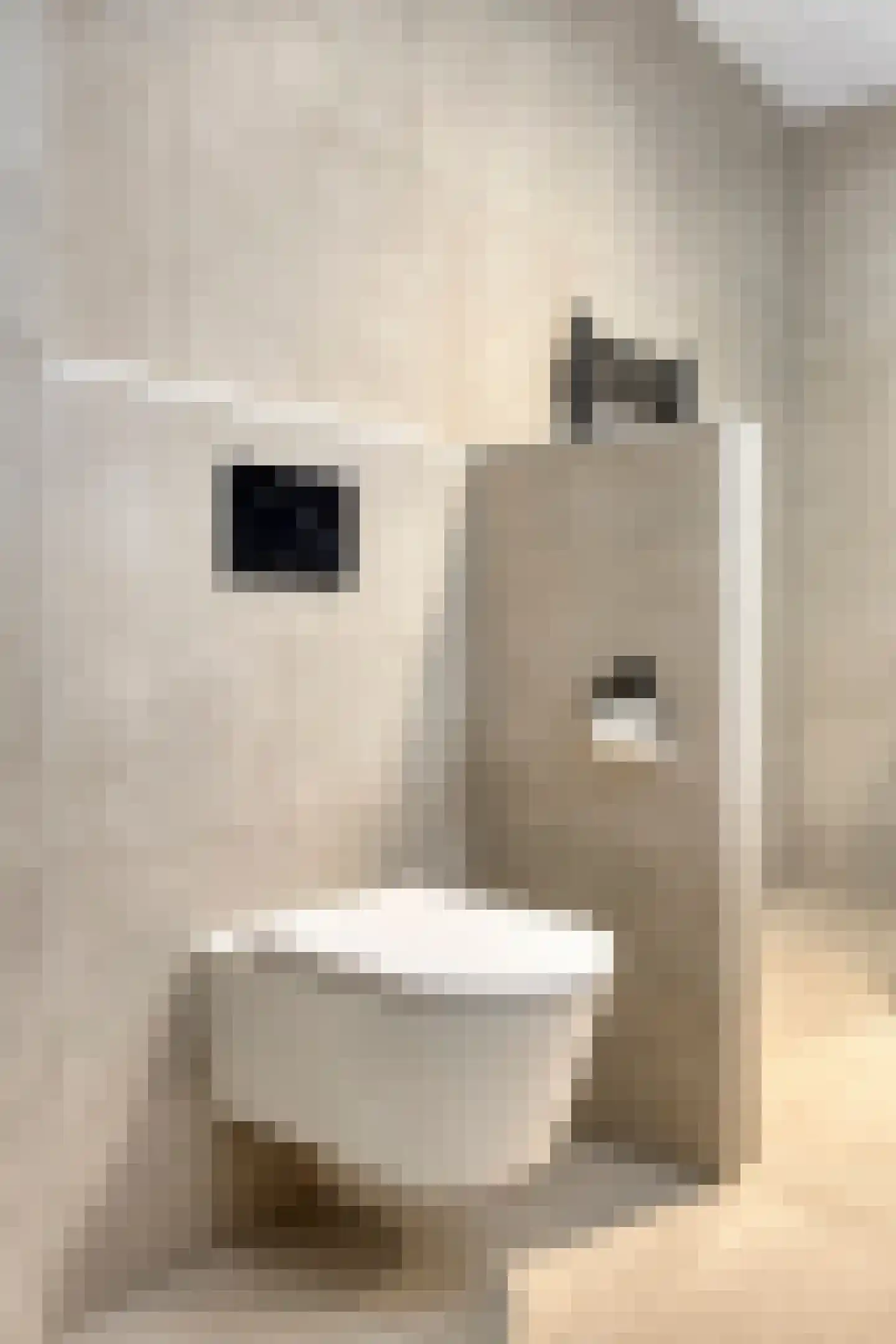 Kanaalmuur 3 Houten thumbnail 29