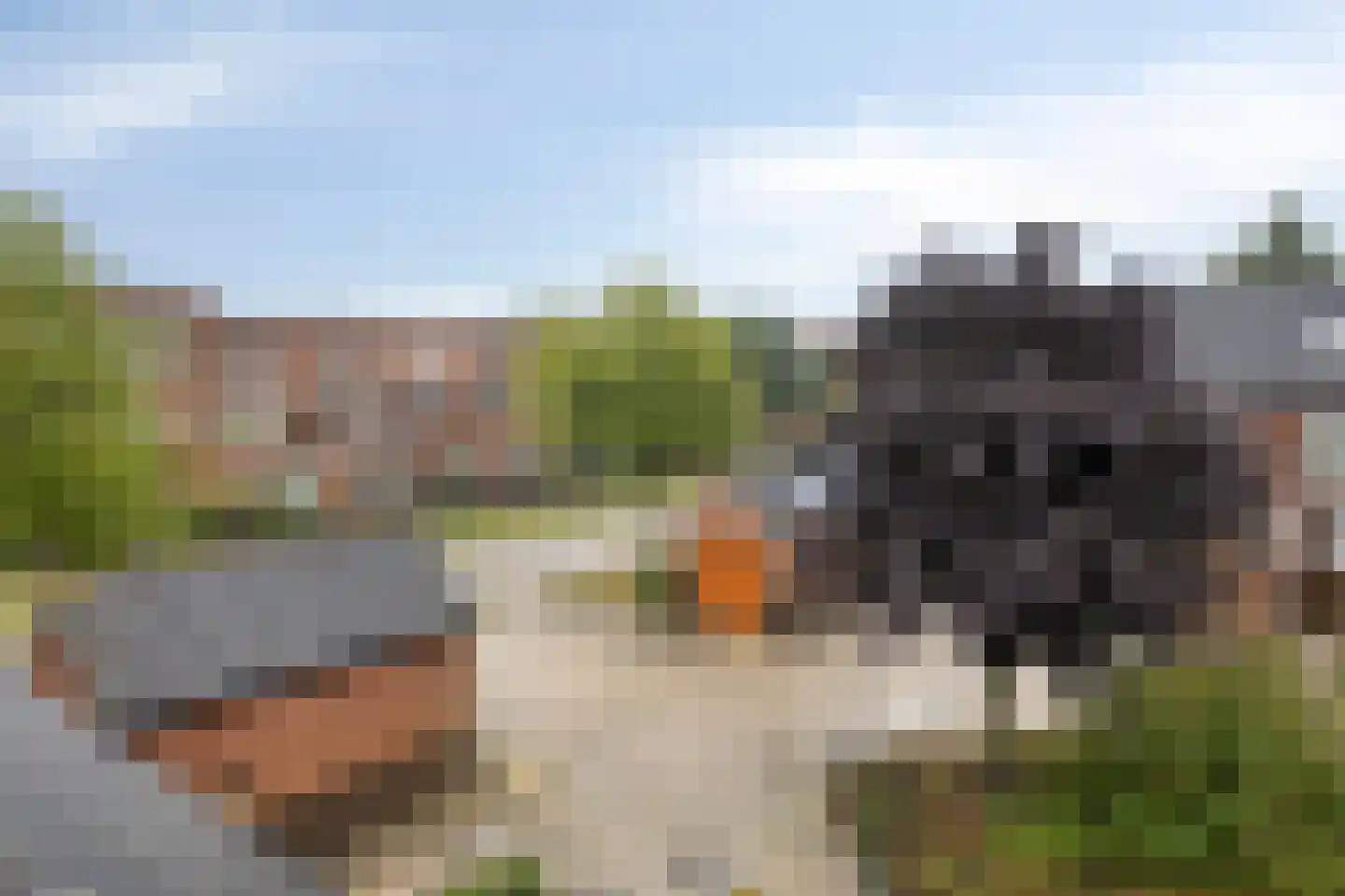 Kanaalmuur 3 Houten thumbnail 39
