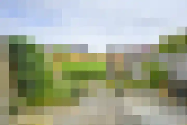 Kanaalmuur 7 Houten thumbnail 12