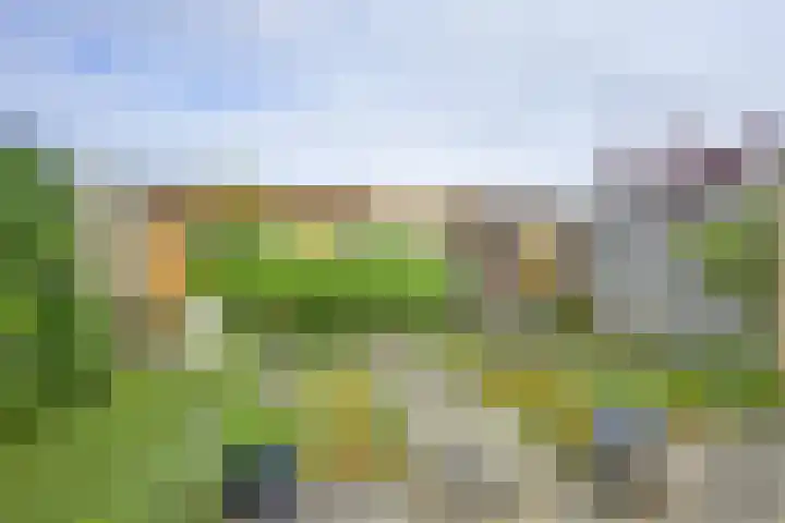 Kanaalmuur 7 Houten thumbnail 13