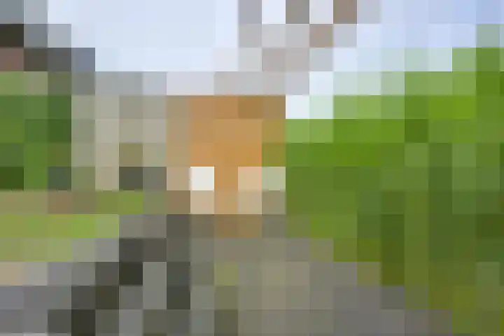 Kanaalmuur 7 Houten thumbnail 15