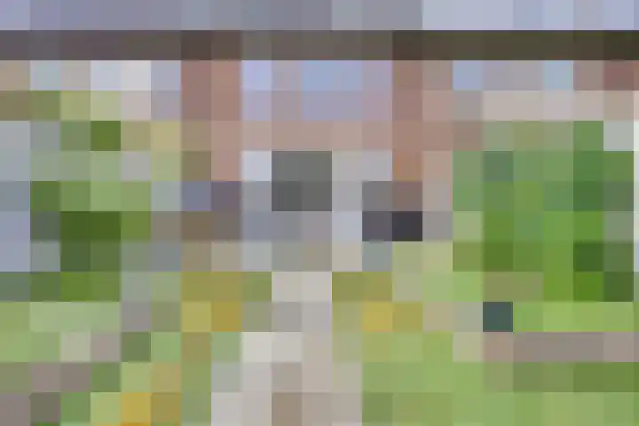 Kanaalmuur 7 Houten thumbnail 16