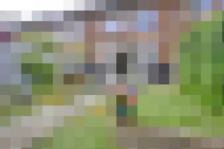 Kanaalmuur 7 Houten thumbnail 18