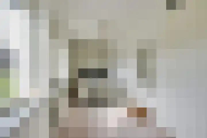 Kanaalmuur 7 Houten thumbnail 28