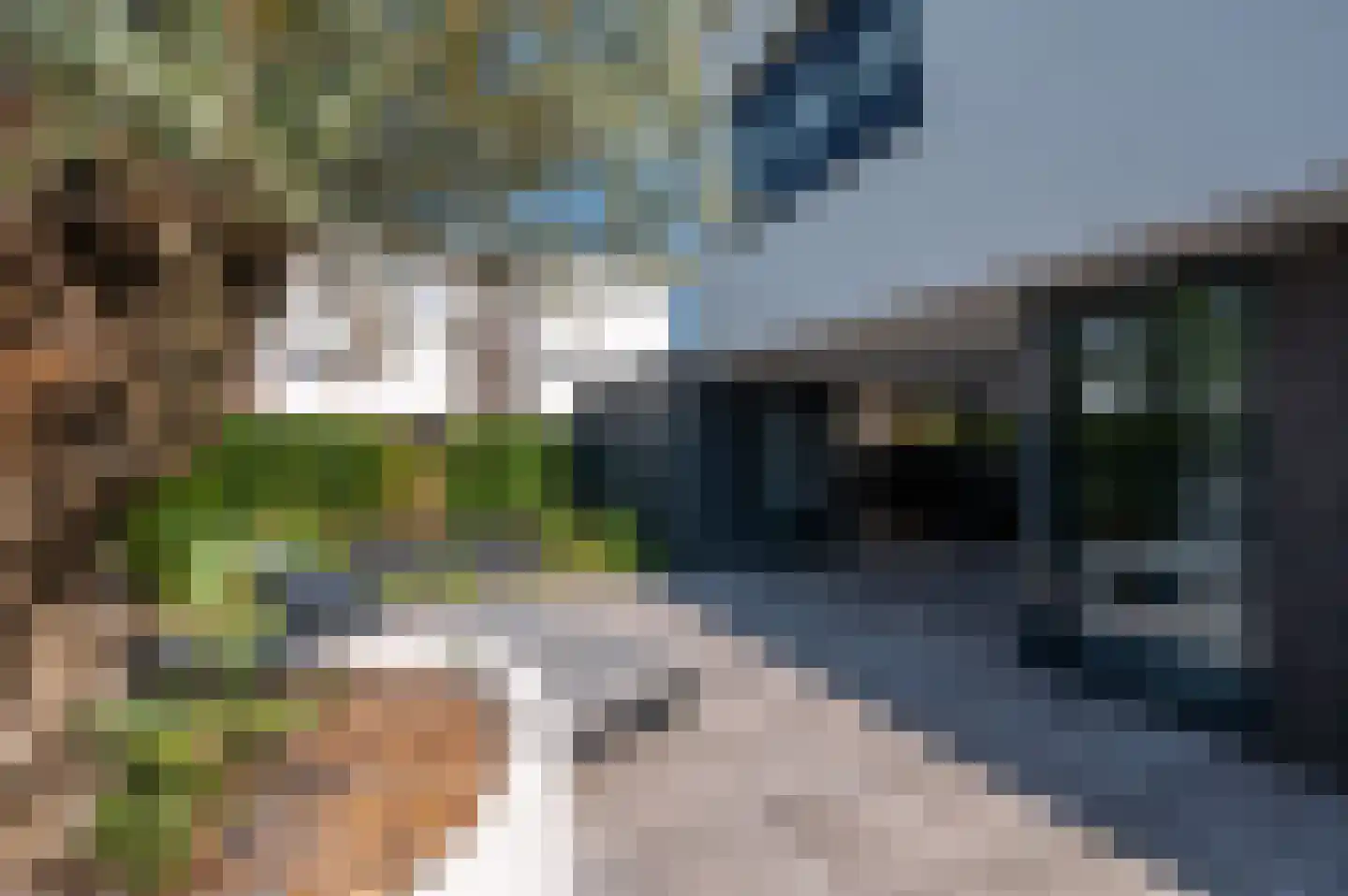 Kanaalpad 9 Apeldoorn thumbnail 25