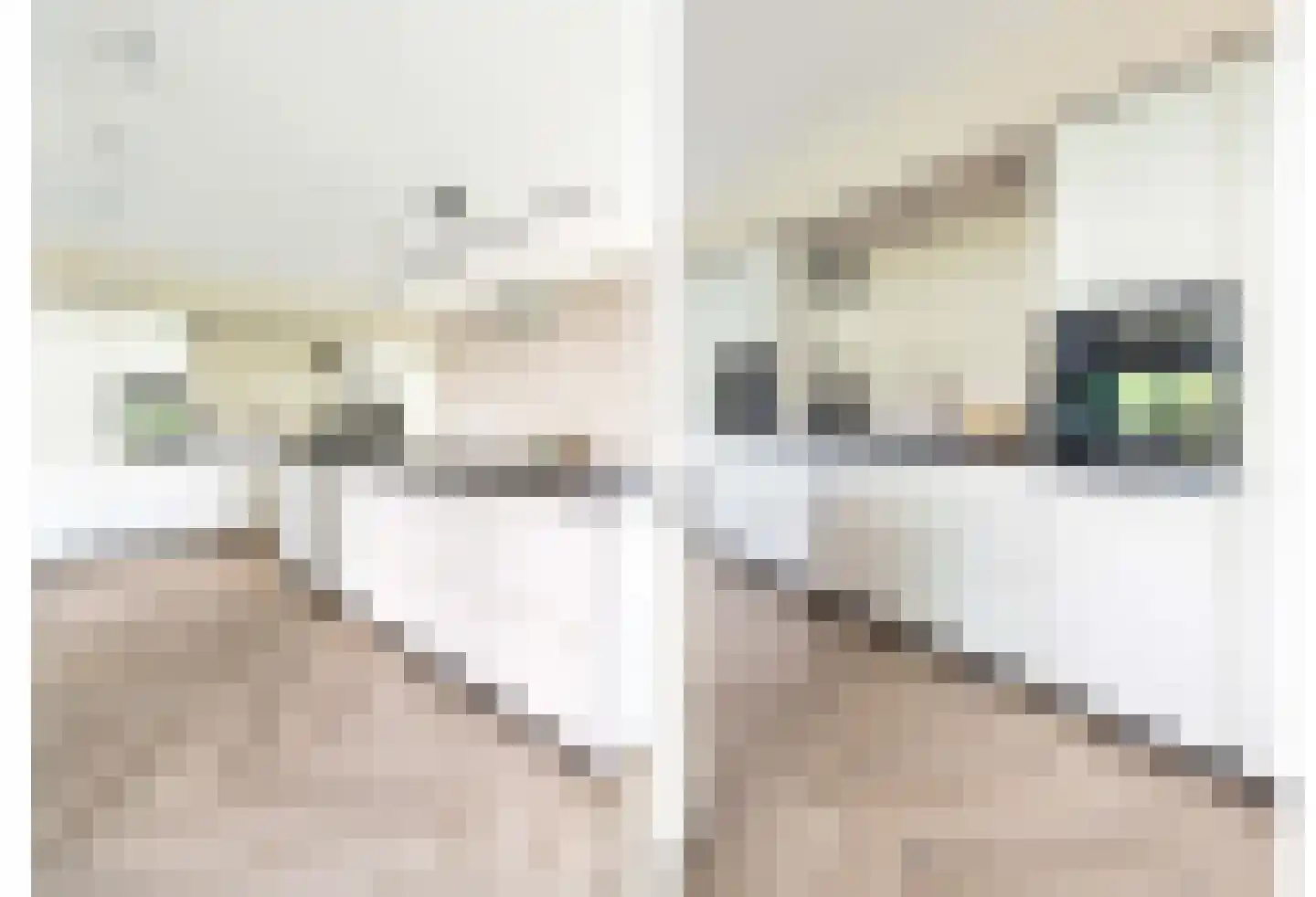 Kanaalpad 9 Apeldoorn thumbnail 9