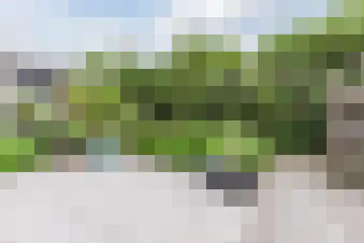 Kanaalpark 2 Philippine thumbnail 31
